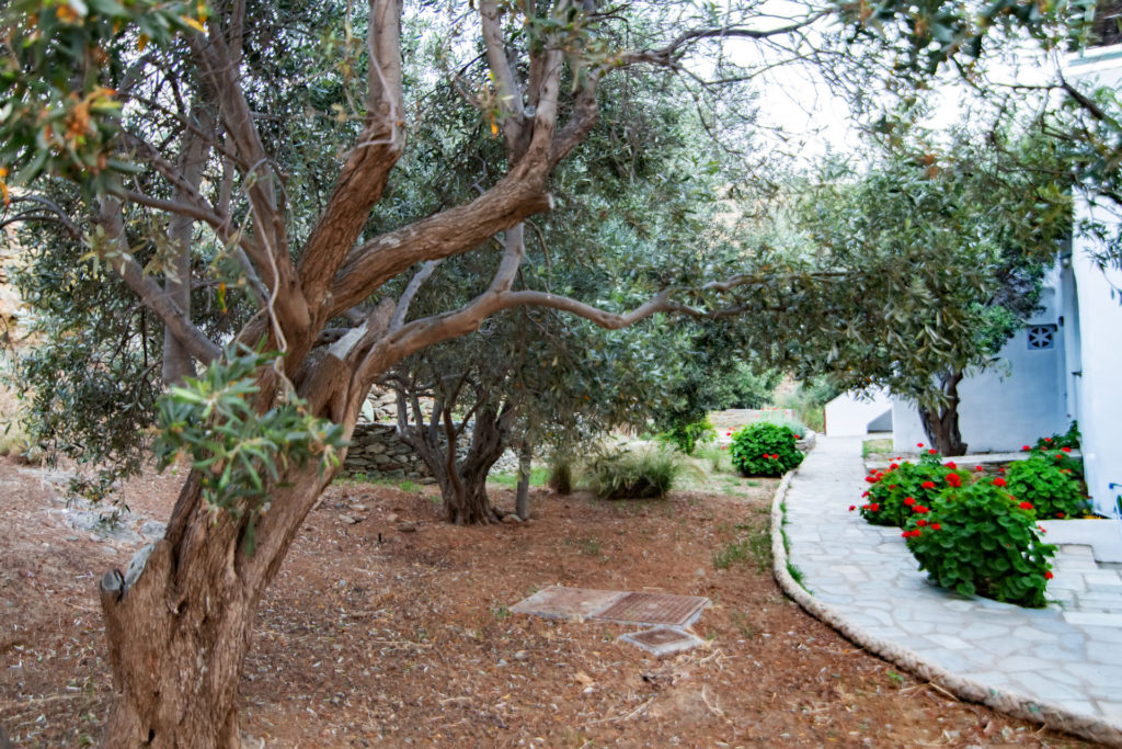 Tinos Hotels Services